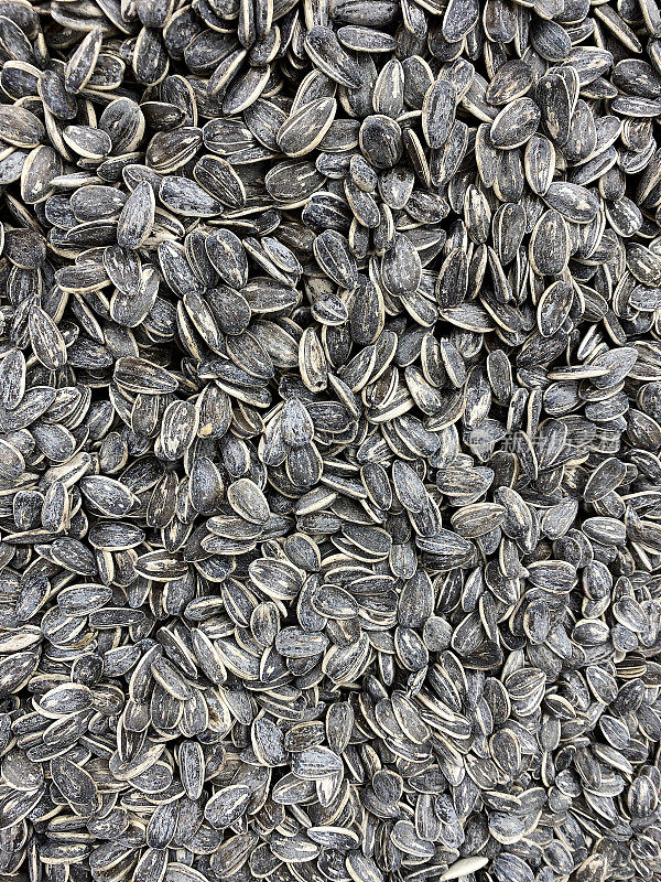 Sunflower Seeds“r